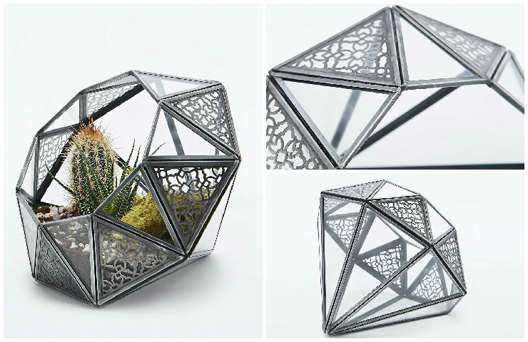 Terrarium effet diamant avec cactus