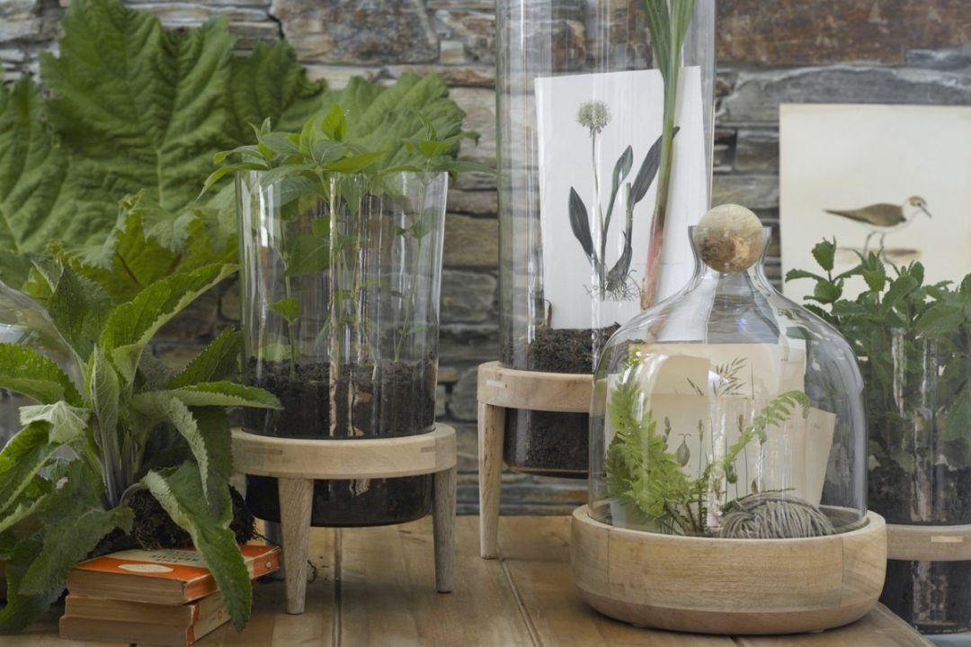 Oasis privée : jardin suspendu ou terrarium • aventure déco Jardin Suspendu désign