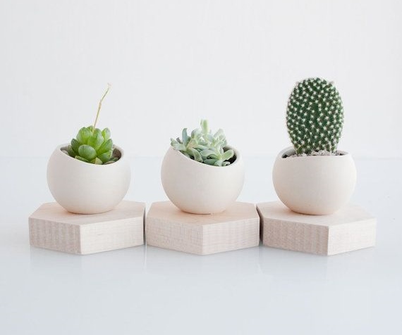 Caches pots pour petits cactus