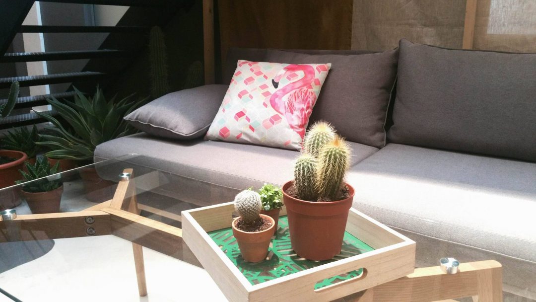 conforama-canape-coussin-flamand-rose-plateau-cactus-table-basse