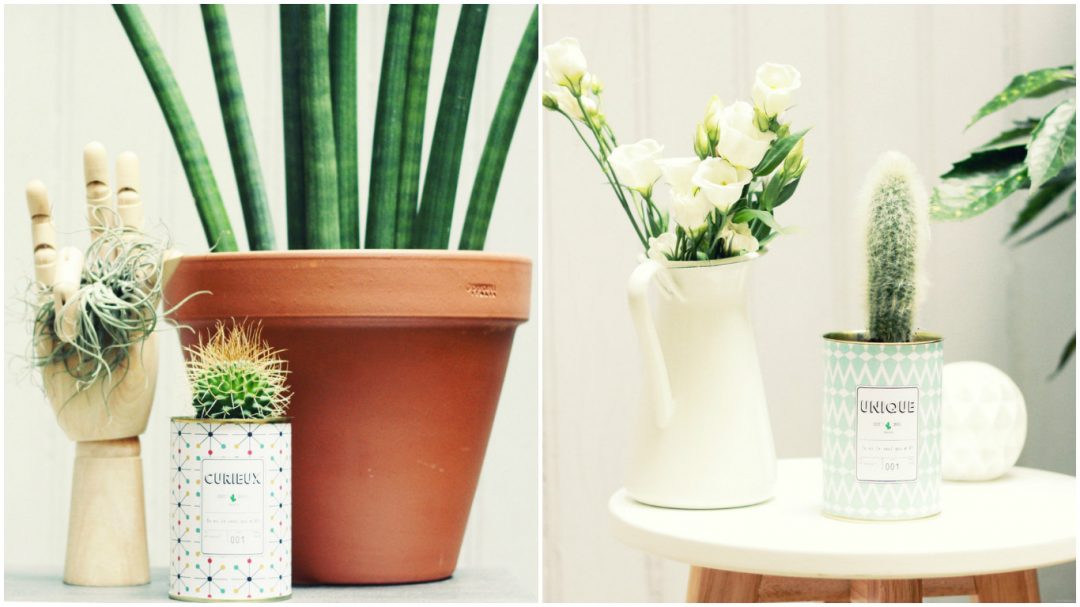 mini-cactus-ay cactus-main-bois-scandinave-upcycling-boite-conserve-deco-graphique