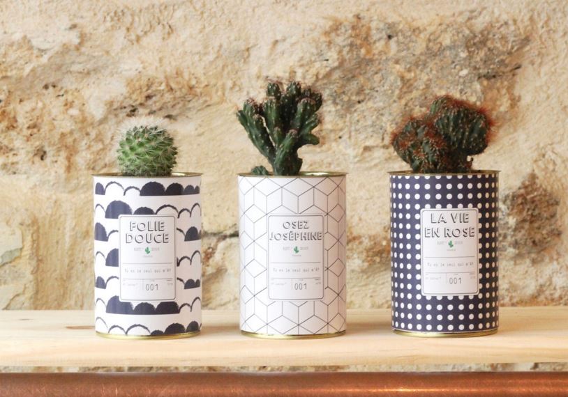 mini-cactus-boite-conserve-detournement-objet-noir-blanc-graphique-ay cactus