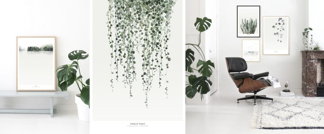 affiche-vegetal-feuille-decoration-mural-aventuredeco