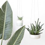 Suspensions pour plantes par Caroline Gomez