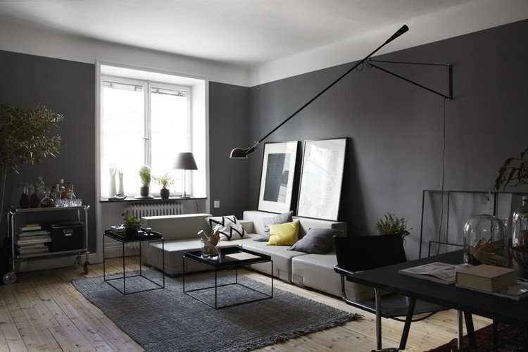 peinture-salon-moderne-gris-mat-canape-blanc-tapis-gris-parquet