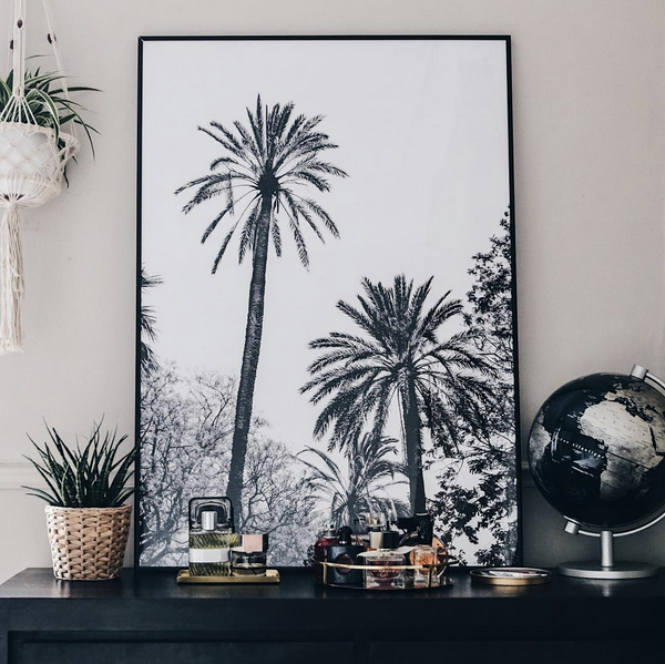 Les photographies de David & David Studio Jessica Venancio