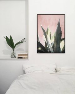 aloe-plants-on-pink-affiche-david-david-studio-aventuredeco